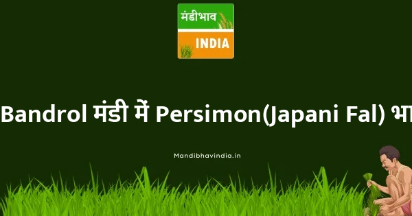 Persimon(Japani Fal) भाव